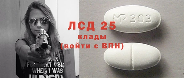 стаф Гусь-Хрустальный