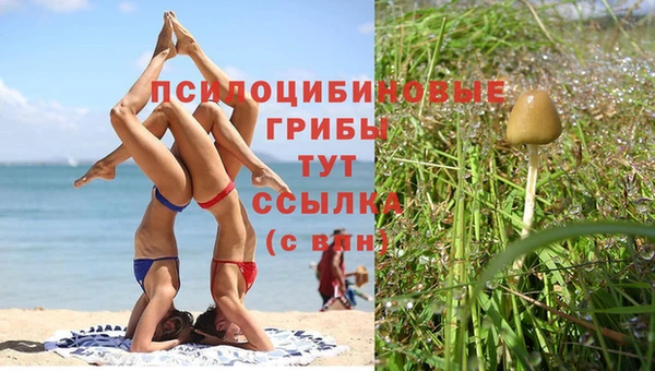 мескалин Абаза
