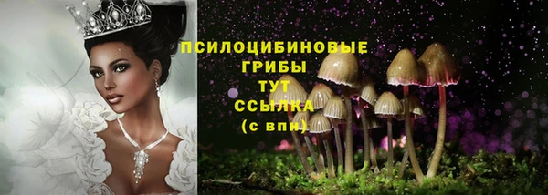 кокс Абинск